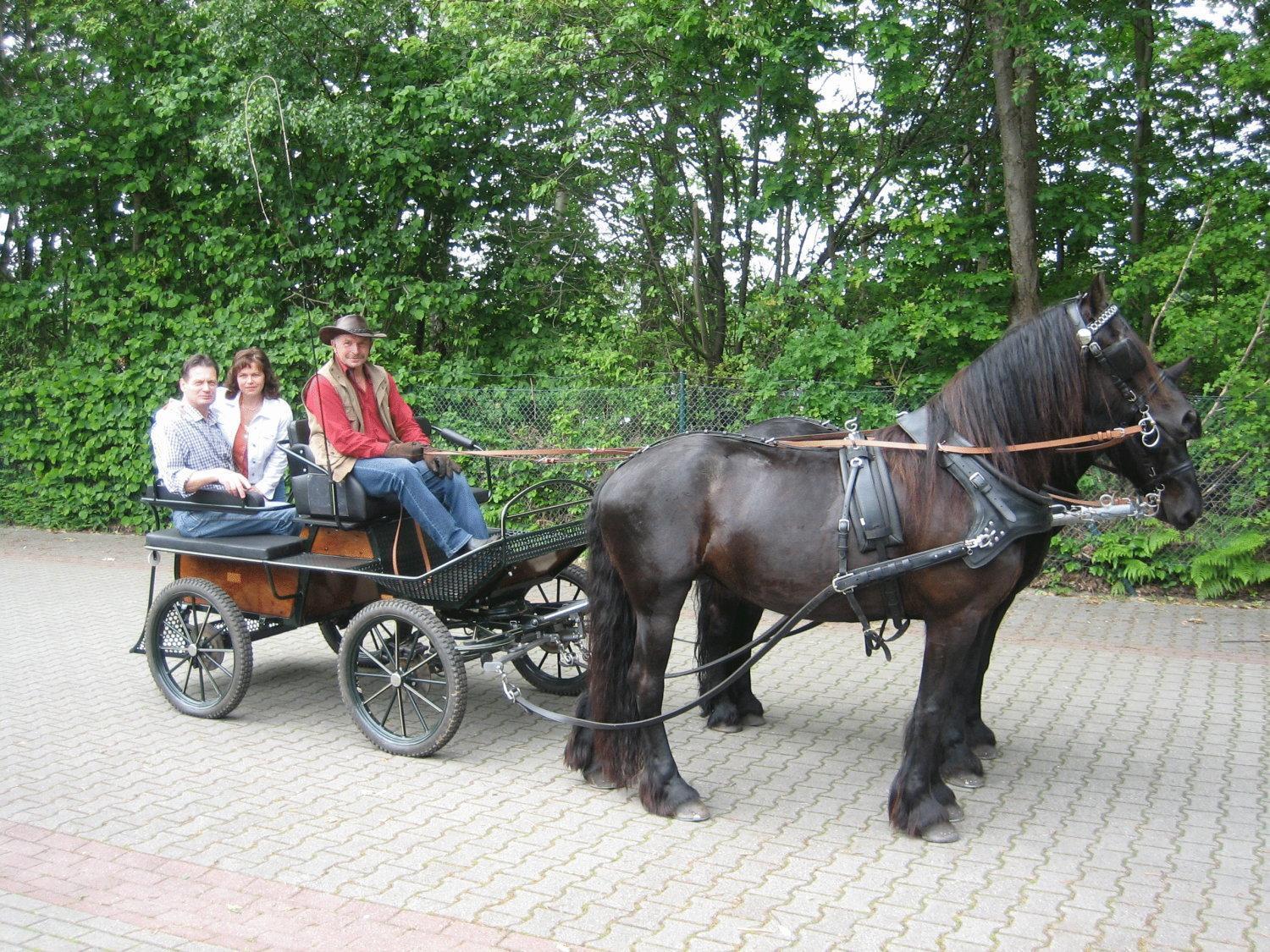 Hotel Graf Balduin Esterwegen Экстерьер фото